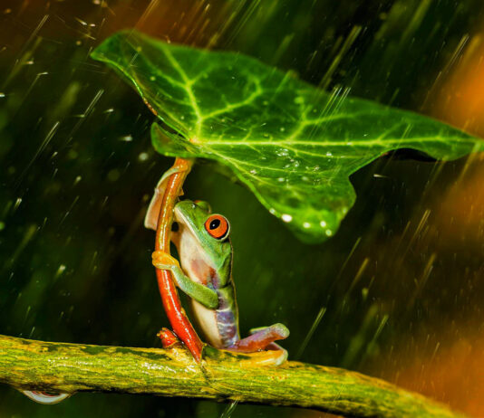 CAMBIAMENTO-INNOVAZIONE-LATERAL PIVOTING