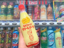 mercato giapponese dei soft drinks
