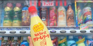 mercato giapponese dei soft drinks