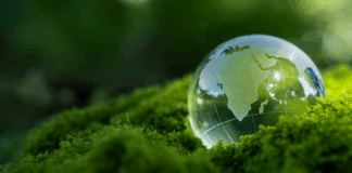 Mondo di cristallo su muschio