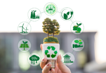 sostenibilità banche aziende ecosistema