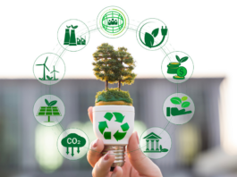 sostenibilità banche aziende ecosistema