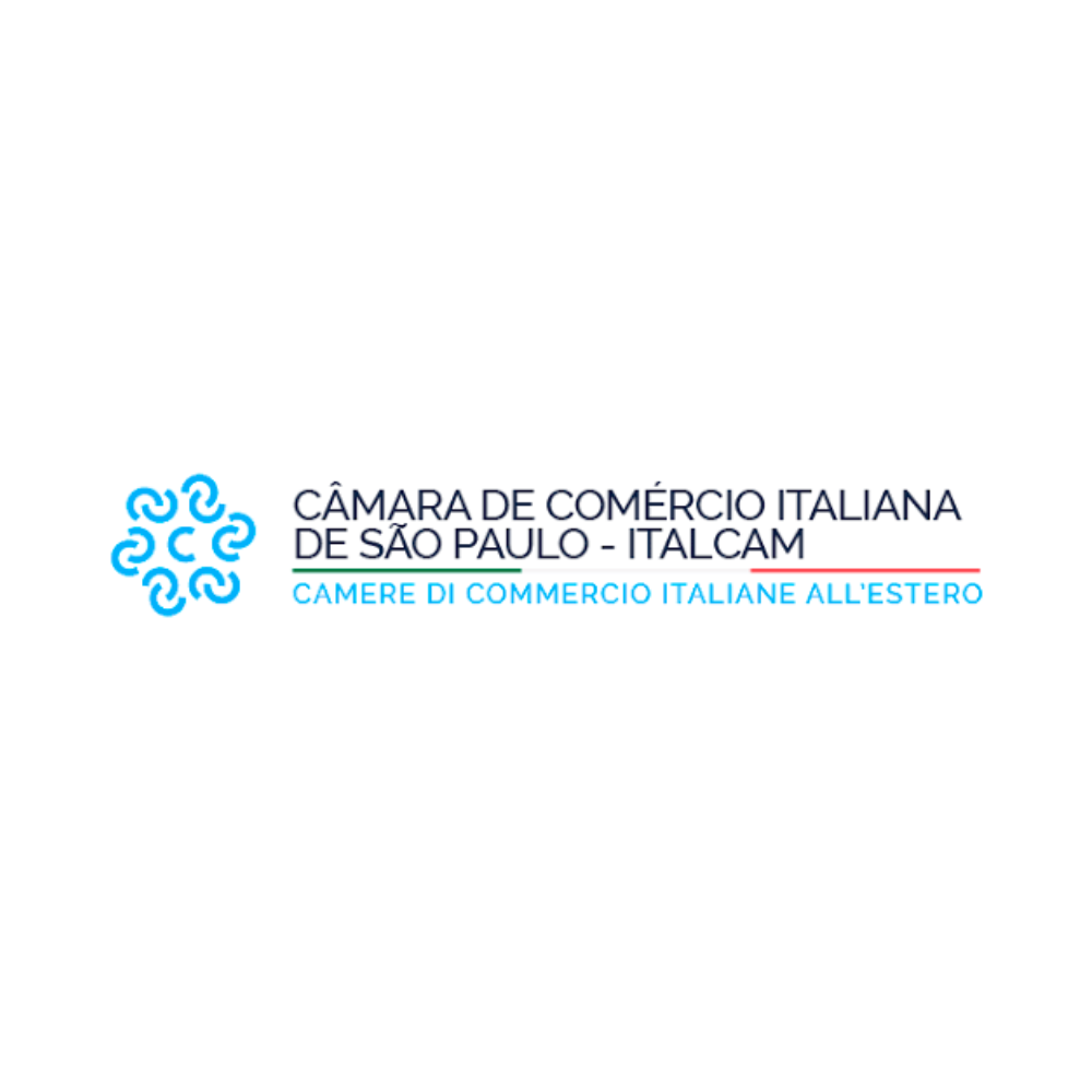 Logo Camara de comercio Italiana de Sao Paulo - Italcam